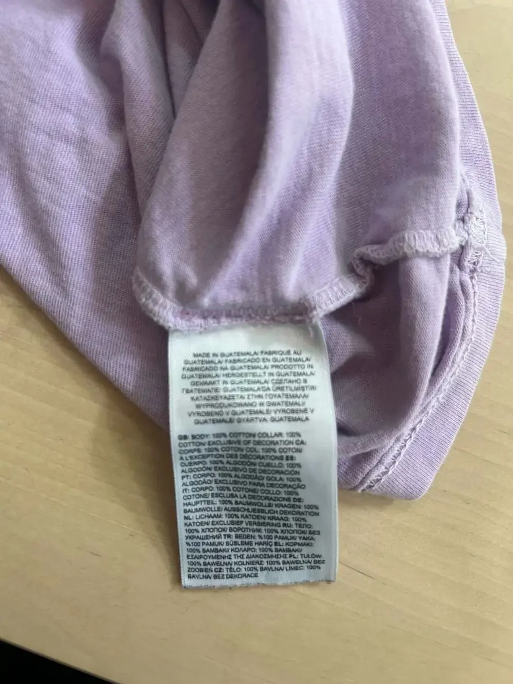The North Face Men's Short Sleeve Garment Dye T-Shirt in Lupine Purple